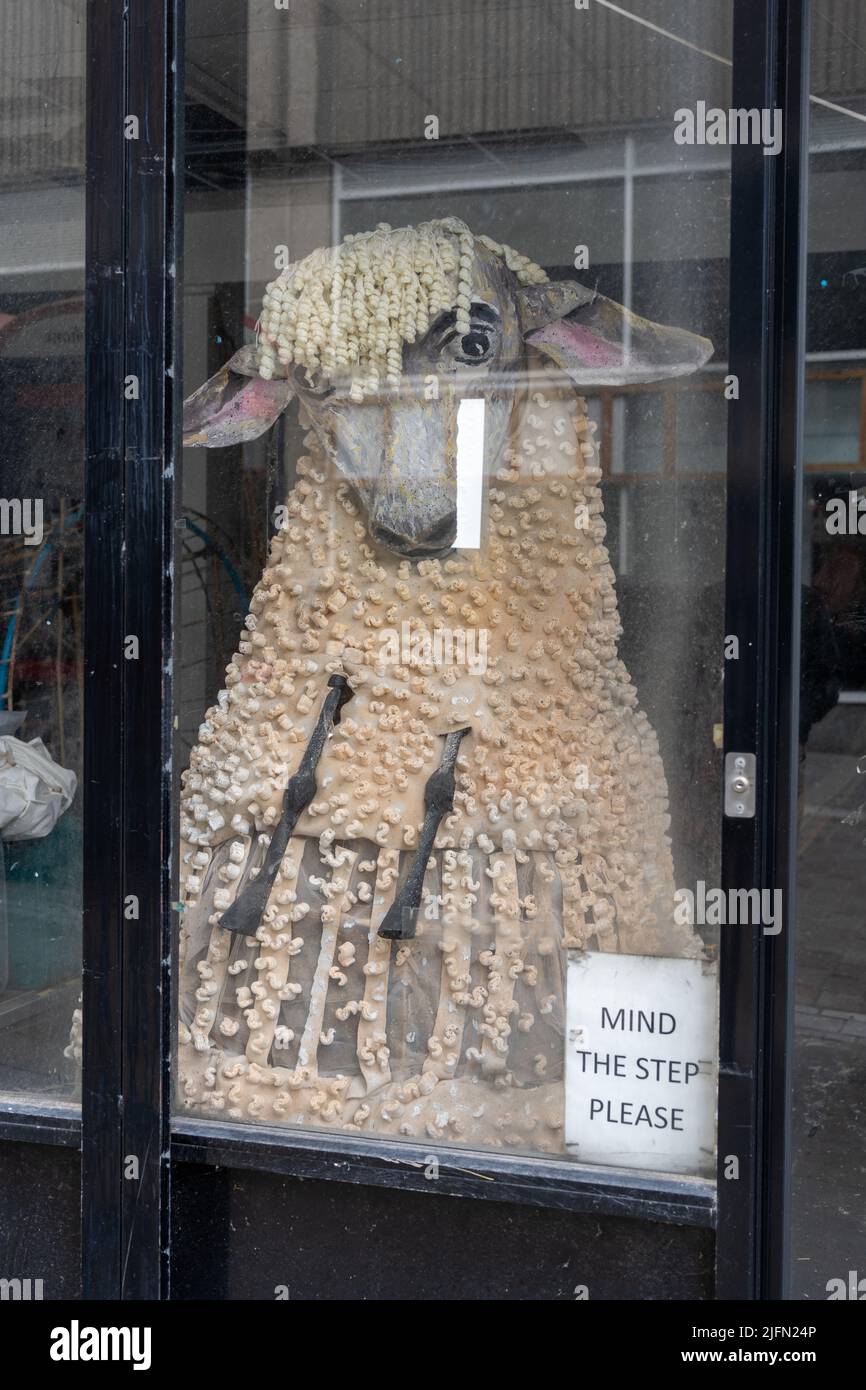 Modernisierte Schafskulptur in einem Schaufenster in der Nähe der Wool Exchange in Bradford, Großbritannien. Konzept des „King of Wool“-Walzennachweises. Stockfoto