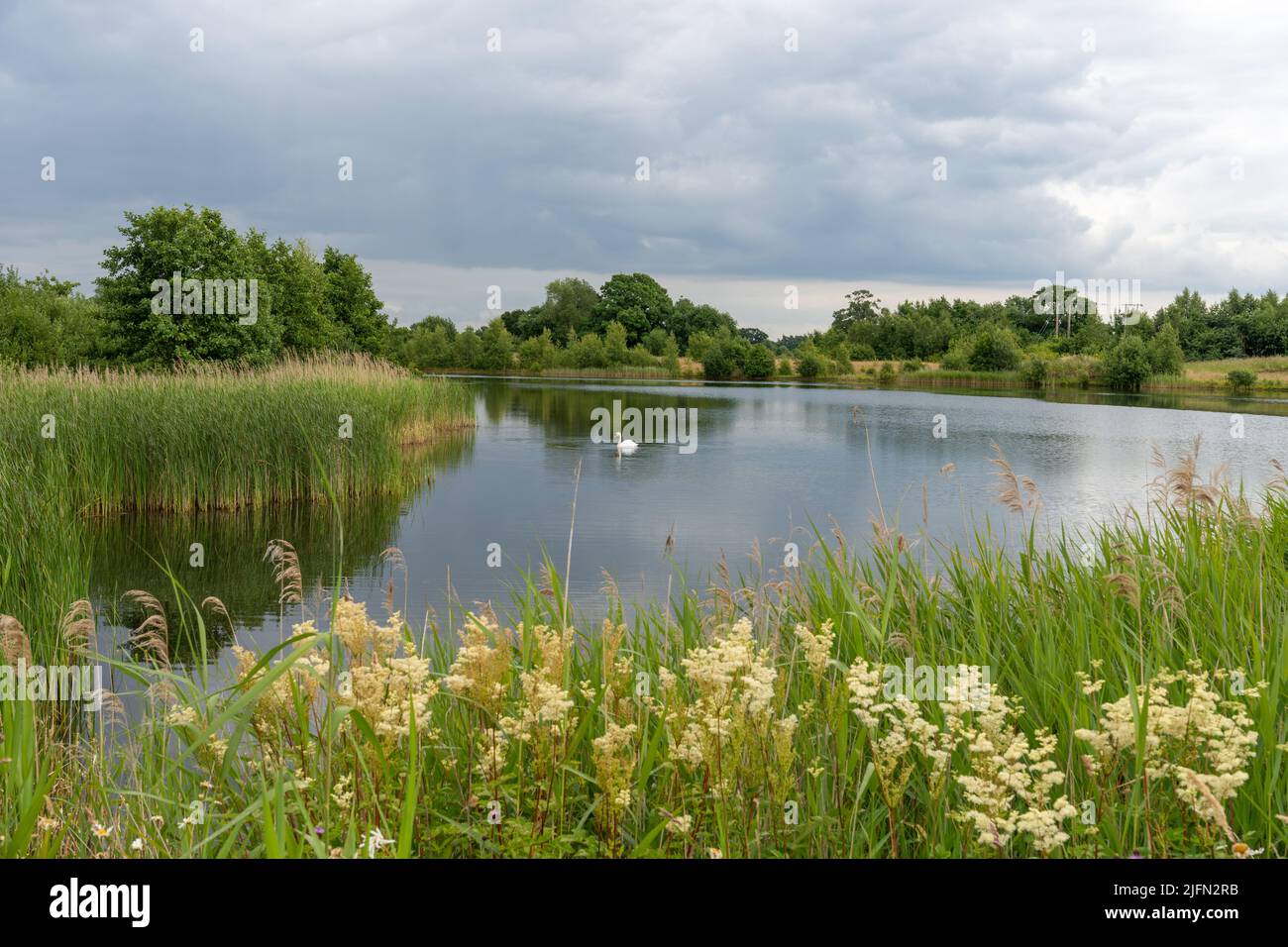 Ein Blick auf den Campus East Lake in Heslington East an der University of York - ein Wassermanagementsee in York, Yorkshire, Großbritannien Stockfoto