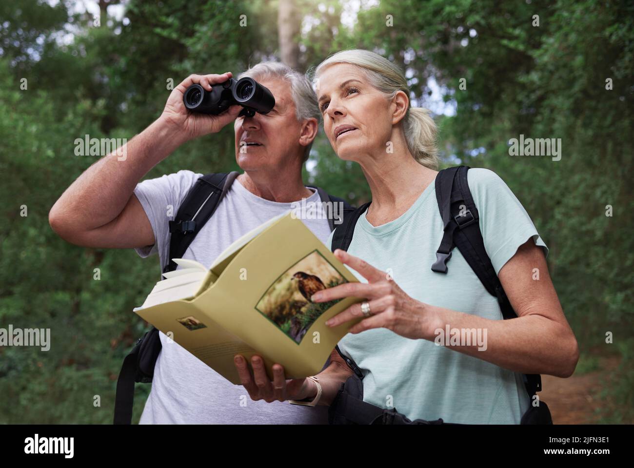 Ein älteres kaukasisches Paar benutzte Ferngläser und ein Buch, während es während einer Wanderung Vögel in einem Wald beobachtete. Reifer Ehemann und Ehefrau erkunden in einem Wald Stockfoto