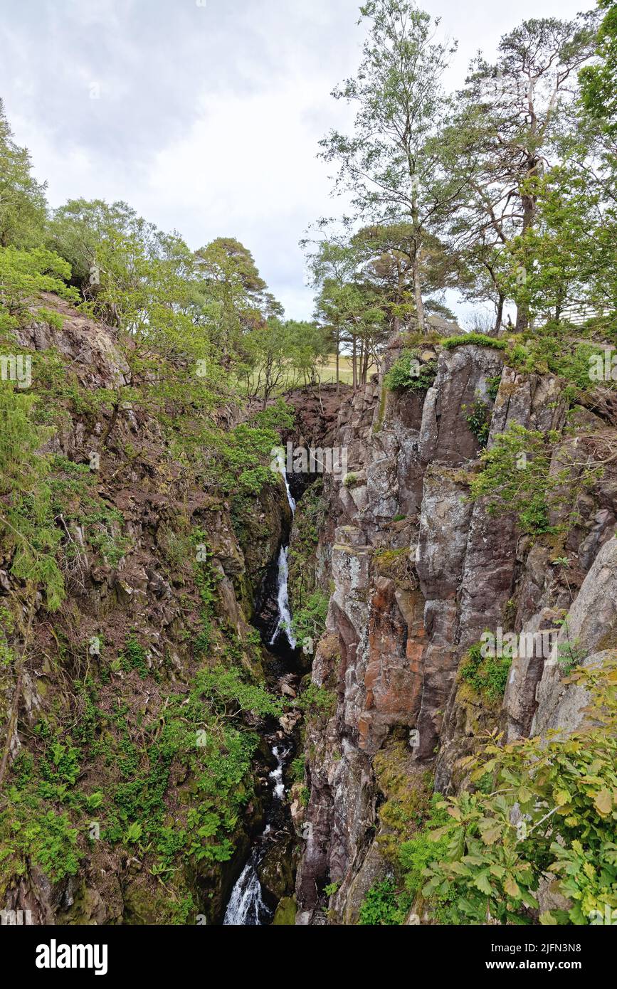 Die tiefe Schlucht von Stanley Ghyll oder Dalegarth Force im Eskdale Lake District National Park Cumbria England Stockfoto