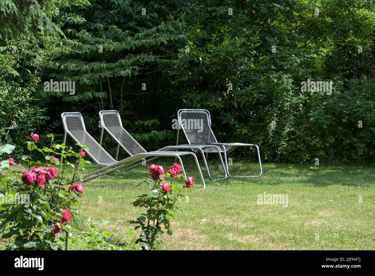 Moderne MetallLiegestühle oder Liegen auf der Wiese vor einer Hecke im