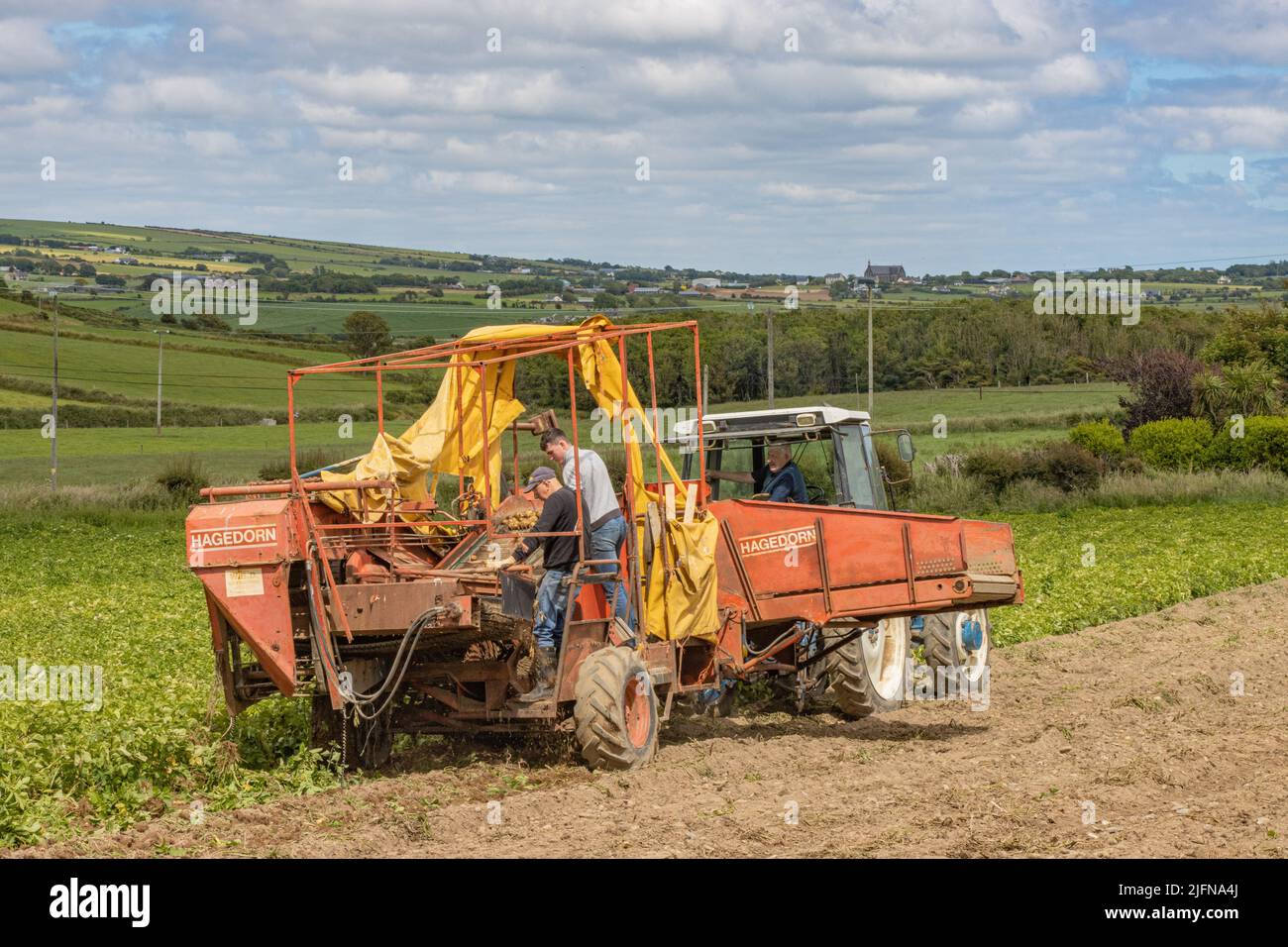 PJ Mc Carthy Potao Ernte Juli 2022 Stockfoto
