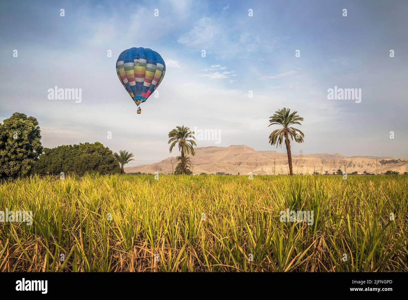 Heißluftballons ragen über die kleinen Dorffelder am Westufer des Nils, Luxor, Ägypten Stockfoto