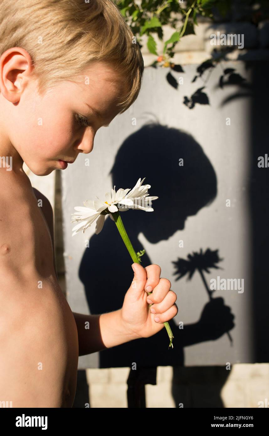 Boy steht mit einer Kamillenblume in der Hand an einem hellen sonnigen Tag, hinter ihm ist sein kontrastierender Schatten. Einsamkeit, Seele, Moment. Sommertag, chil Stockfoto