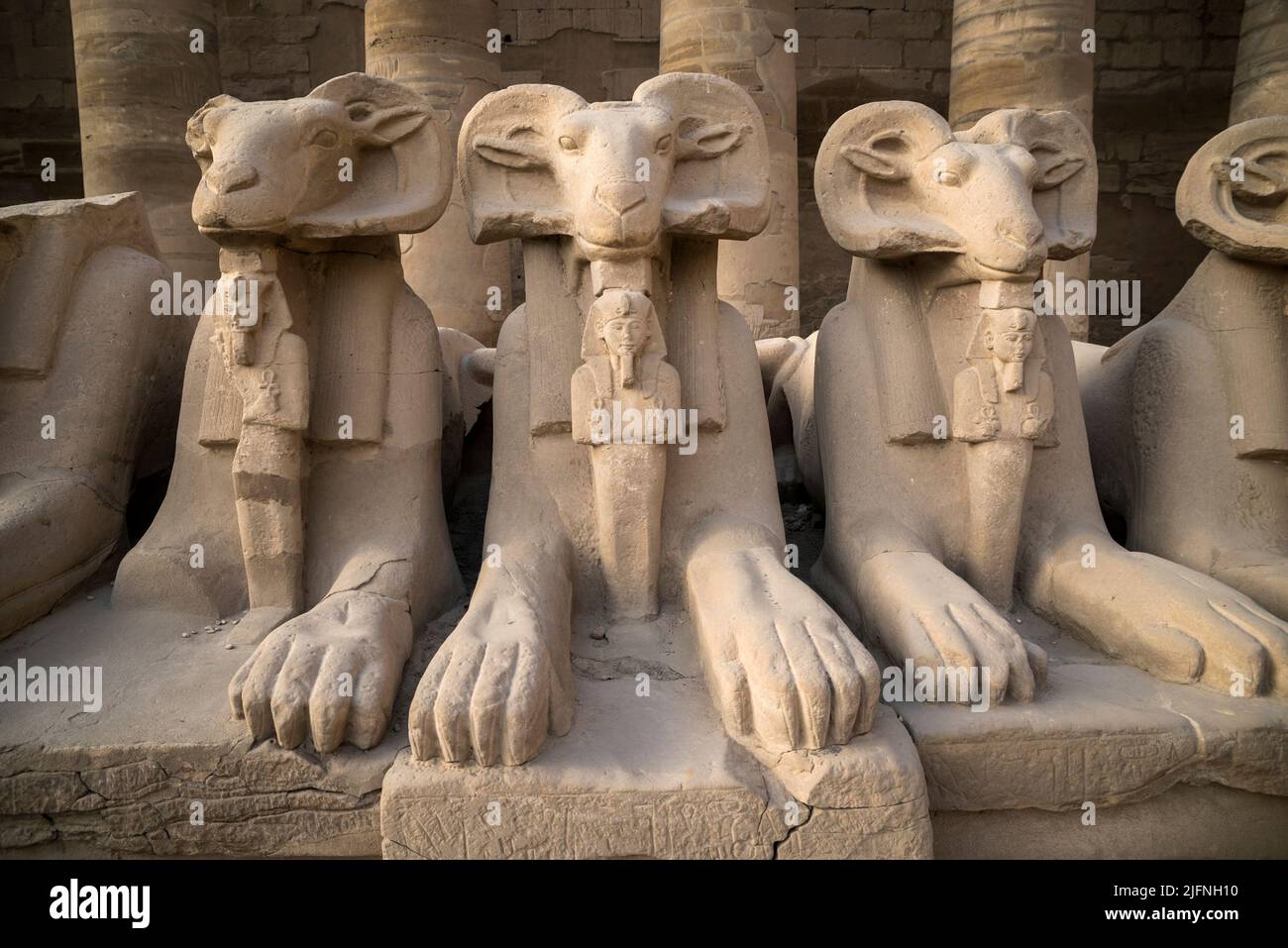 RAM leitete Sphinx am Karnak-Tempelkomplex, El-Karnak, Governorate Luxor, Ägypten Stockfoto