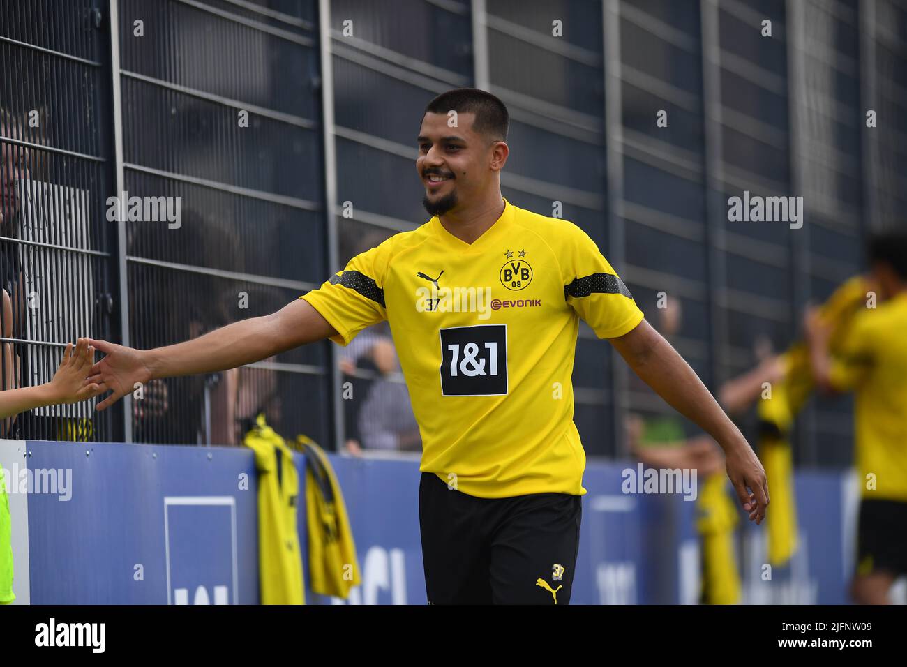 Lion semic Fotos und Bildmaterial in hoher Auflösung Alamy