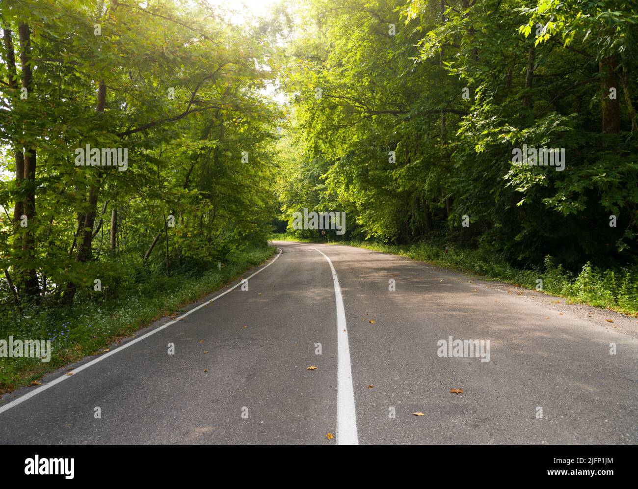 Die asphaltierte Straße ist in einem grünen Wald. Roadtrip auf dem Land. Schöne Landschaft und Blick auf eine Bergstraße. Stockfoto