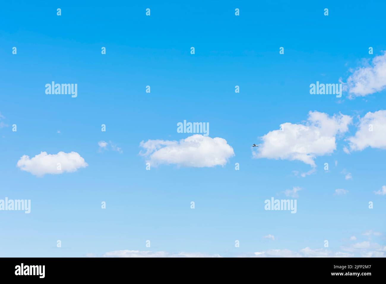 Sommer blauer Himmel Hintergrund mit weißen, flauschigen Wolken Stockfoto