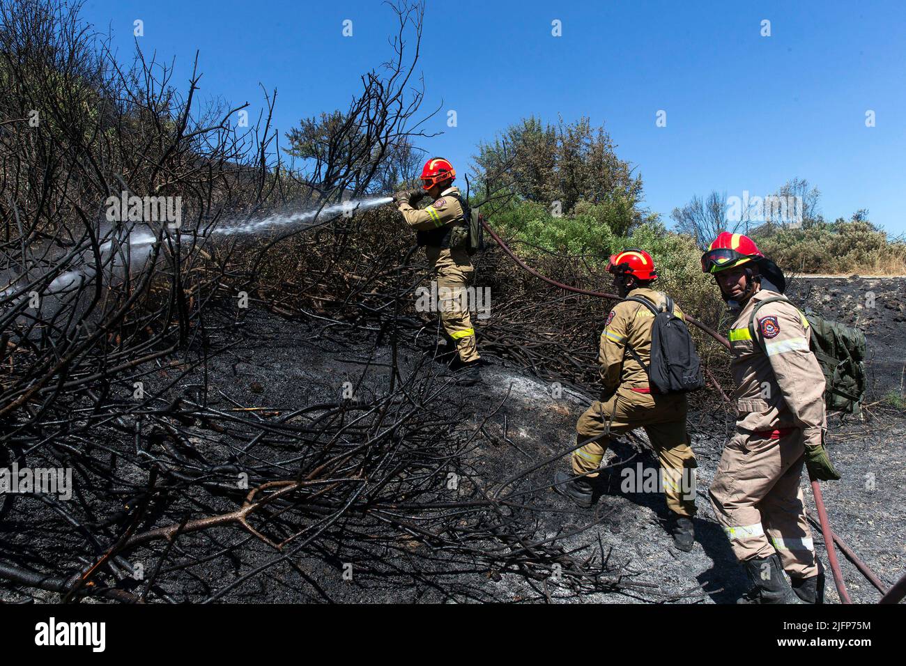 Schimatari, Griechenland. 4.. Juli 2022. Feuerwehrleute kämpfen am 4. Juli 2022 in Schimatari, Griechenland, gegen ein Wildfeuer. Quelle: Marios Lolos/Xinhua/Alamy Live News Stockfoto