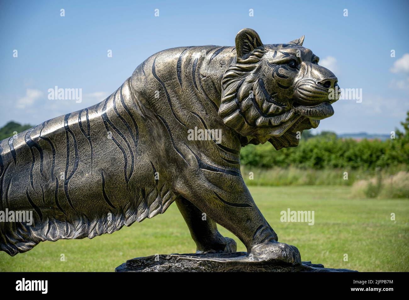 Das Britische Eisenwerk Center, Tiger Exhibit/Sculpture Stockfoto