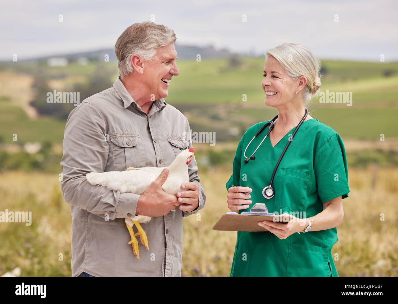 Beratung über die richtige Pflege und Behandlung der Vögel. Aufnahme eines Mannes, der auf einer Geflügelfarm ein Gespräch mit einem Tierarzt geführt hat. Stockfoto