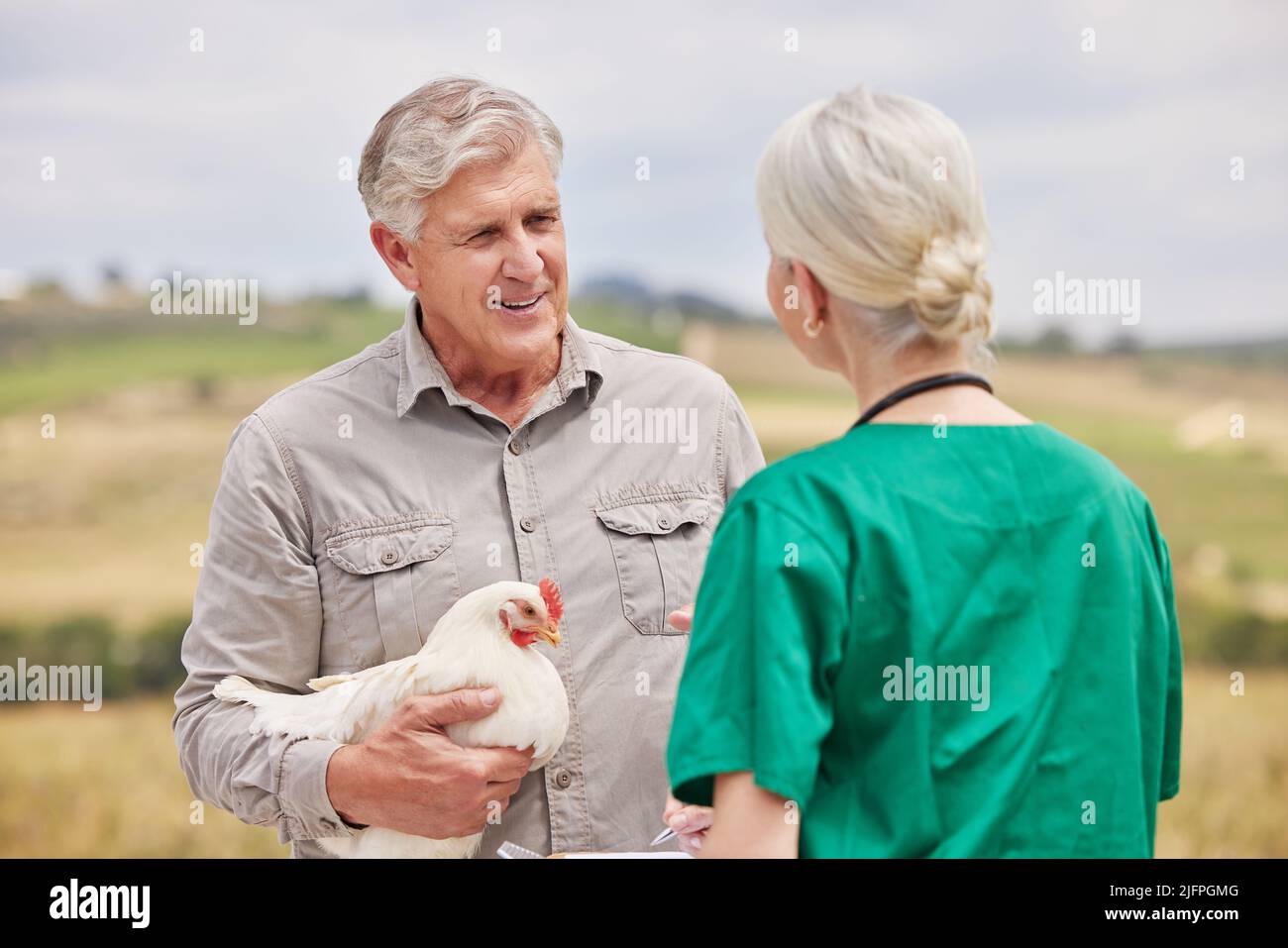 Haben Sie auch Ernährungsempfehlungen für mein Vieh? Aufnahme eines Mannes, der auf einer Geflügelfarm ein Gespräch mit einem Tierarzt geführt hat. Stockfoto