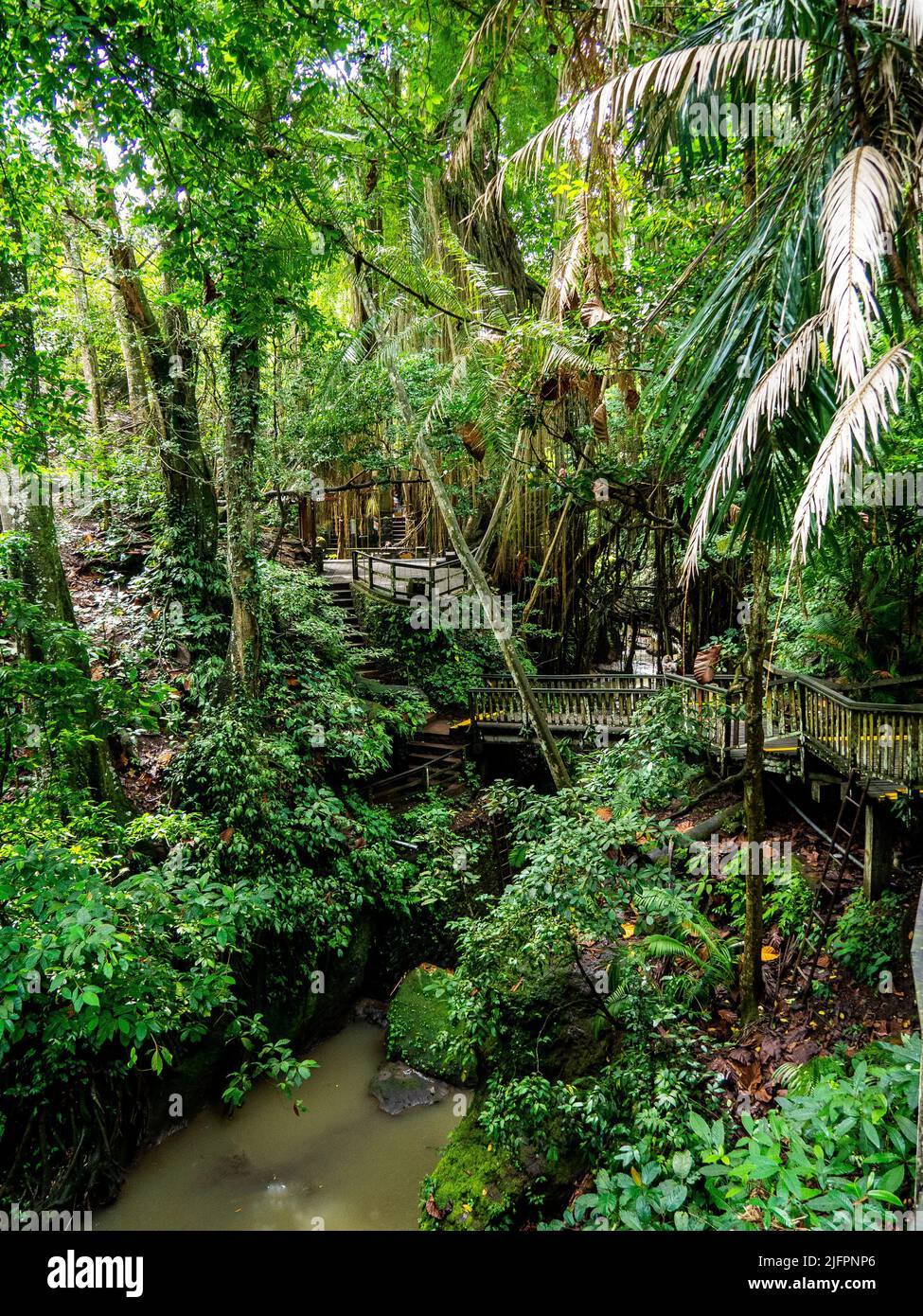 Sacred Monkey Forest, Ubud, Bali, Indonesien, Asien Stockfoto