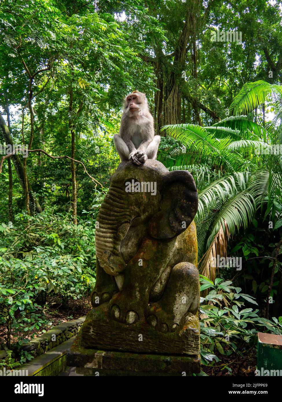 Sacred Monkey Forest, Ubud, Bali, Indonesien, Asien Stockfoto