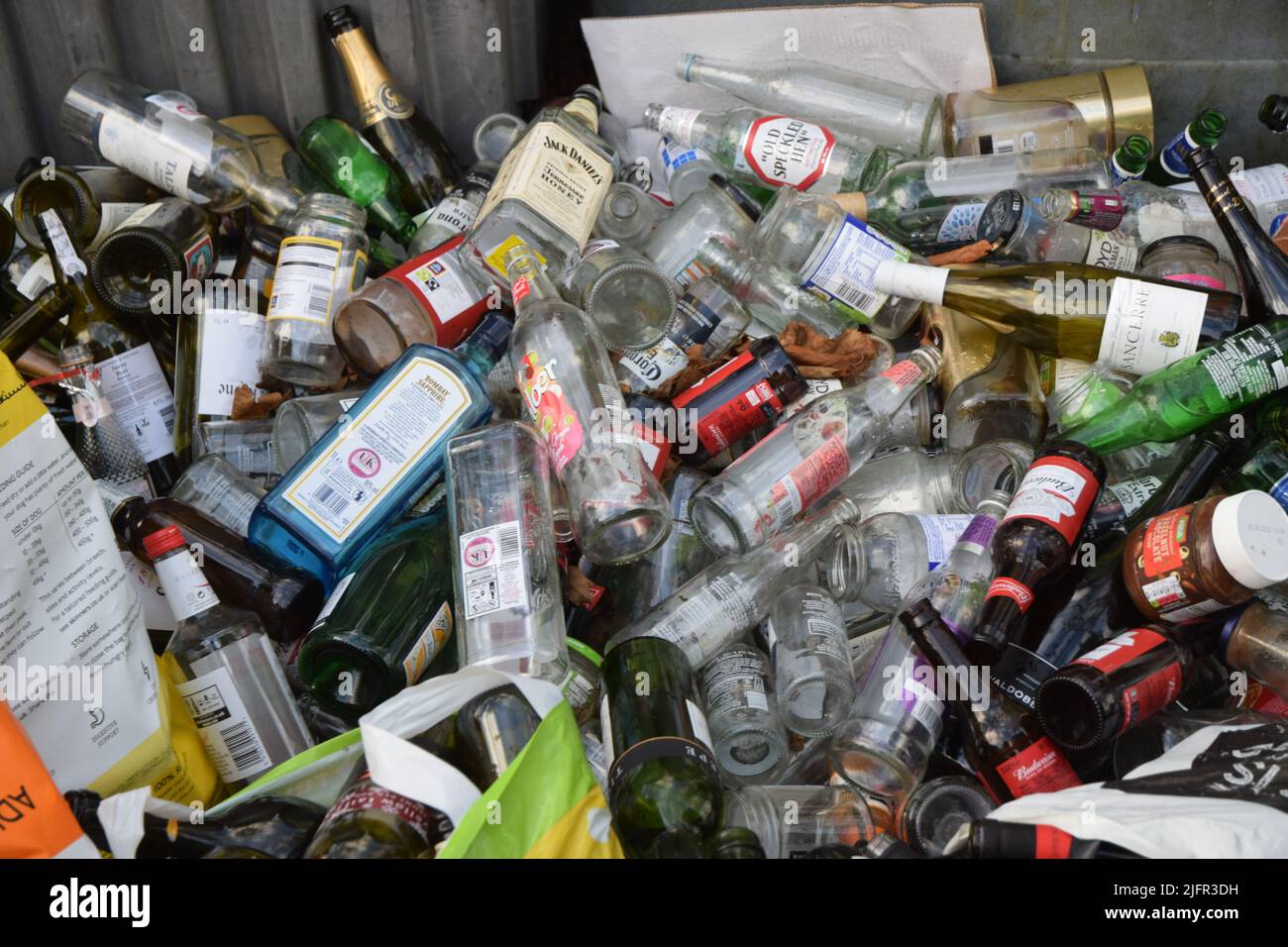 weihnachtsflasche überblüht, england Stockfoto