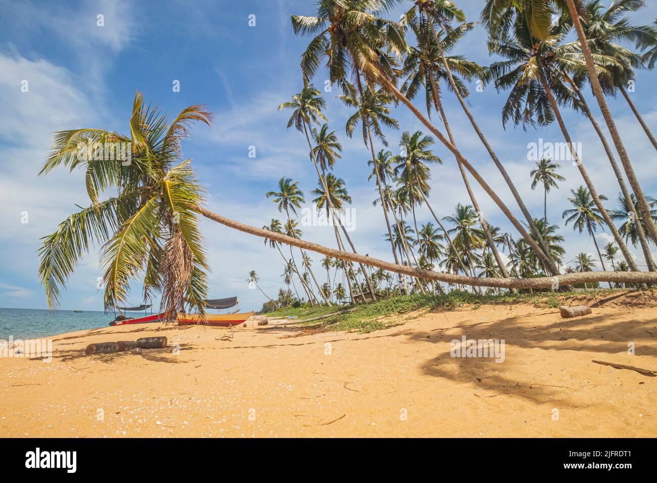 Goldener Sandstrand mit Kokospalmen am Pantai Jambu Bongkok Beach im Bezirk Marang in Terengganu, Malaysia. Stockfoto