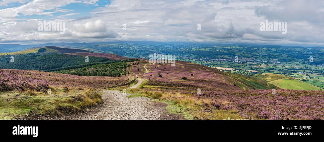 Blick südöstlich vom Gipfel des Moel Famau in der Clwydian Mountain Range mit dem Clwyd Forest links und Vale of Clwyd im Hintergrund North Wales UK Stockfoto