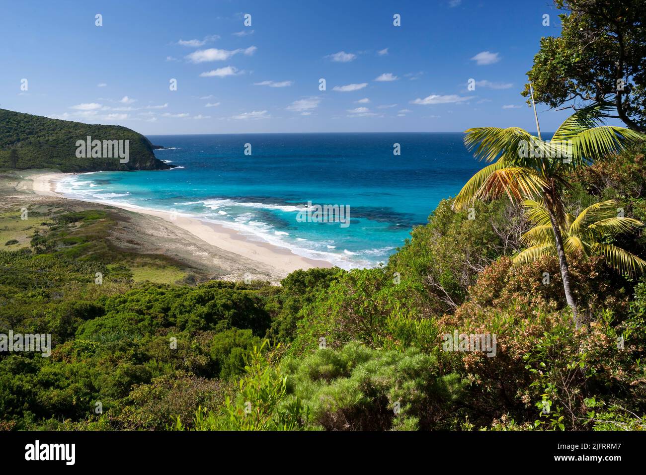 Blinky Beach, auf der östlichen Seite von Lord Howe Island, New South Wales, Australien., Quelle: Robin Bush / Avalon Stockfoto