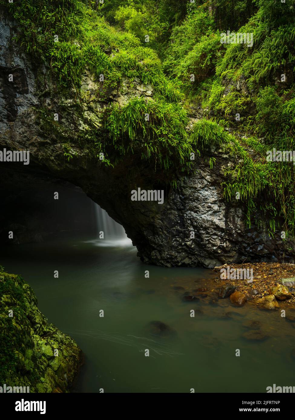 Natural Bridge, Springbrook National Park, Australien Stockfoto