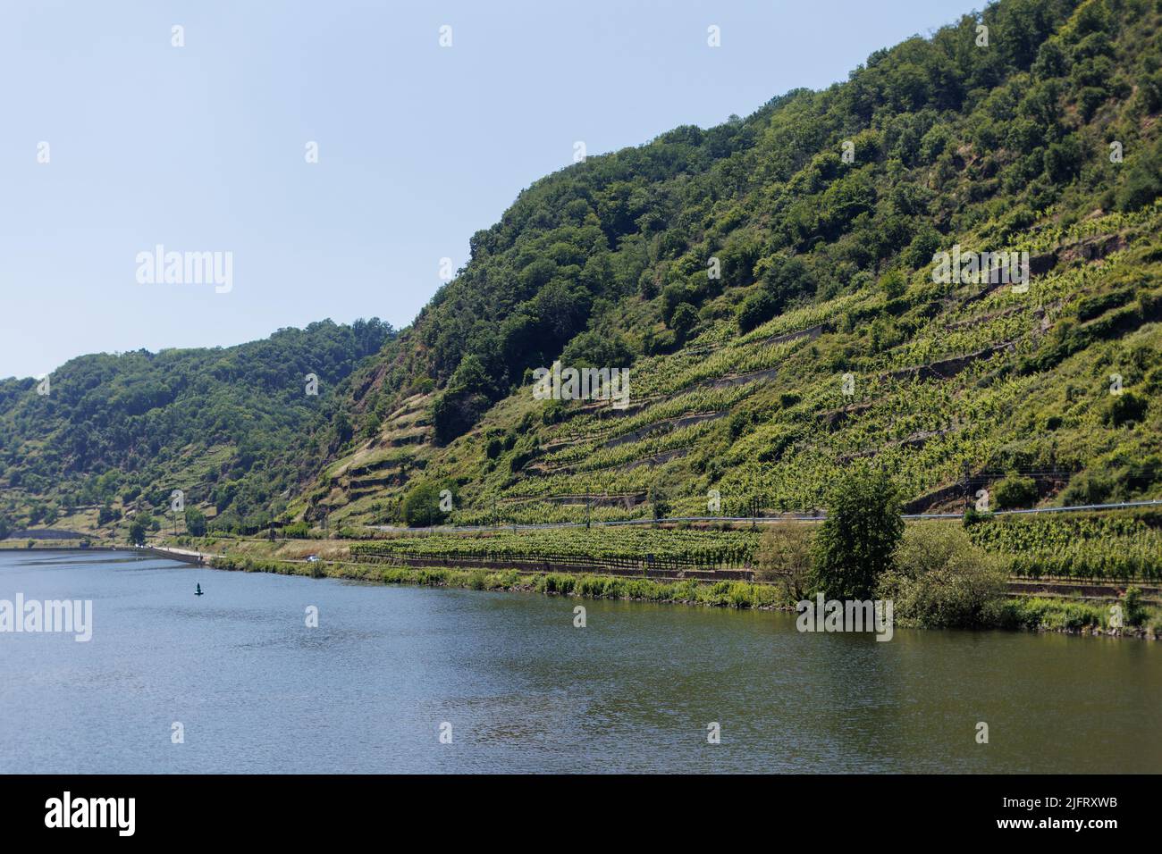 Panoramabilder von einer Flusskreuzfahrt entlang des Rheins und der Mosel in der Weinbauregion West-Rheinland Stockfoto