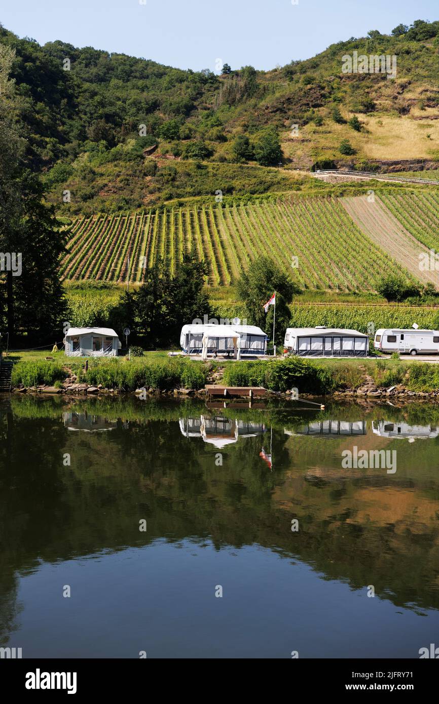 Camping, wildes Campen in Zelten und Wohnwagen am Rheinufer in Deutschland. Zelte spiegeln sich im Wasser. Stockfoto