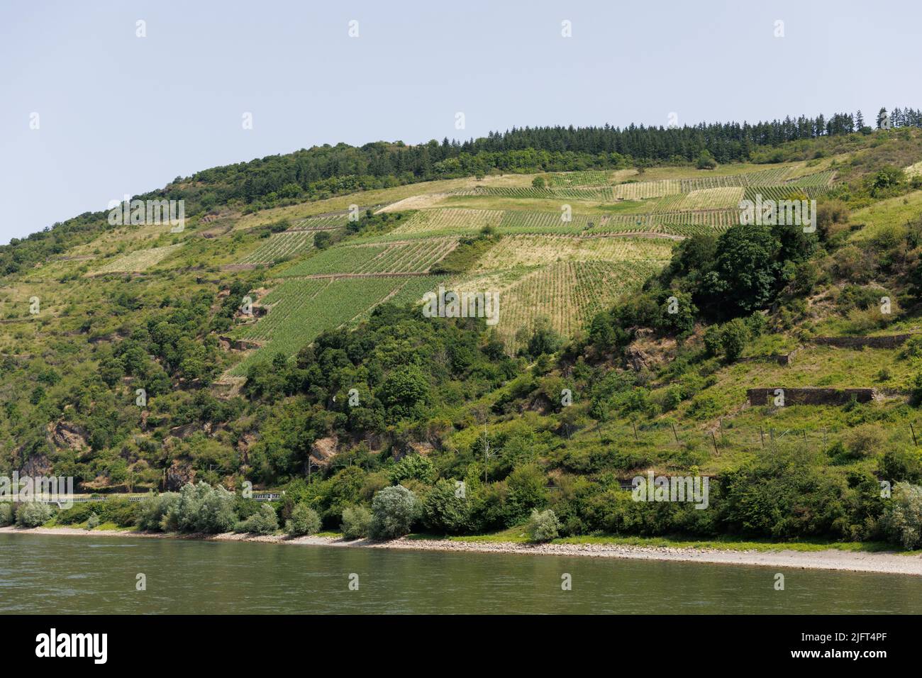 Panoramabilder von einer Flusskreuzfahrt entlang des Rheins und der Mosel in der Weinbauregion West-Rheinland Stockfoto