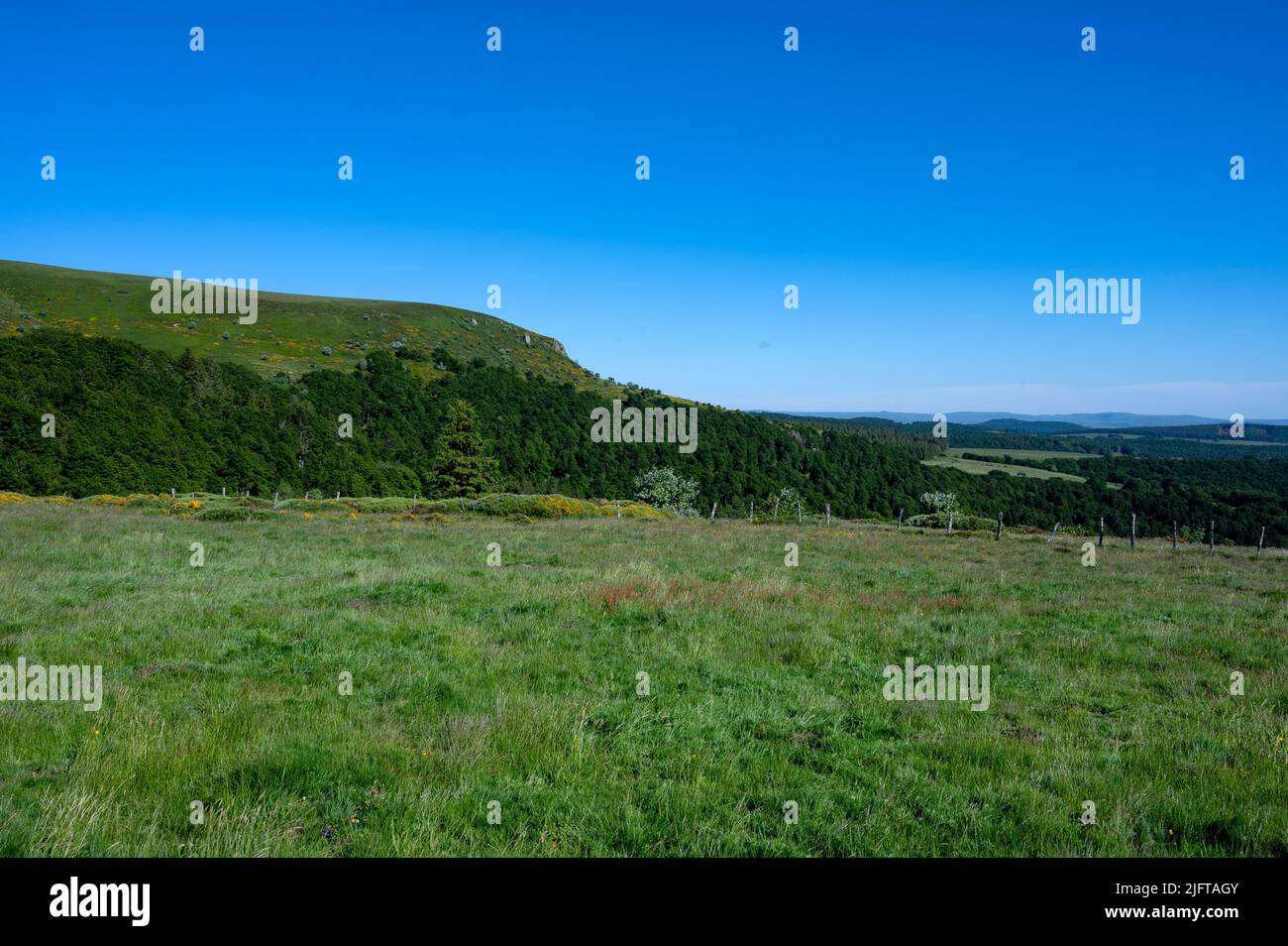 Landschaft im Massif du Sancy in der Auvergne in Frankreich im Frühjahr Stockfoto