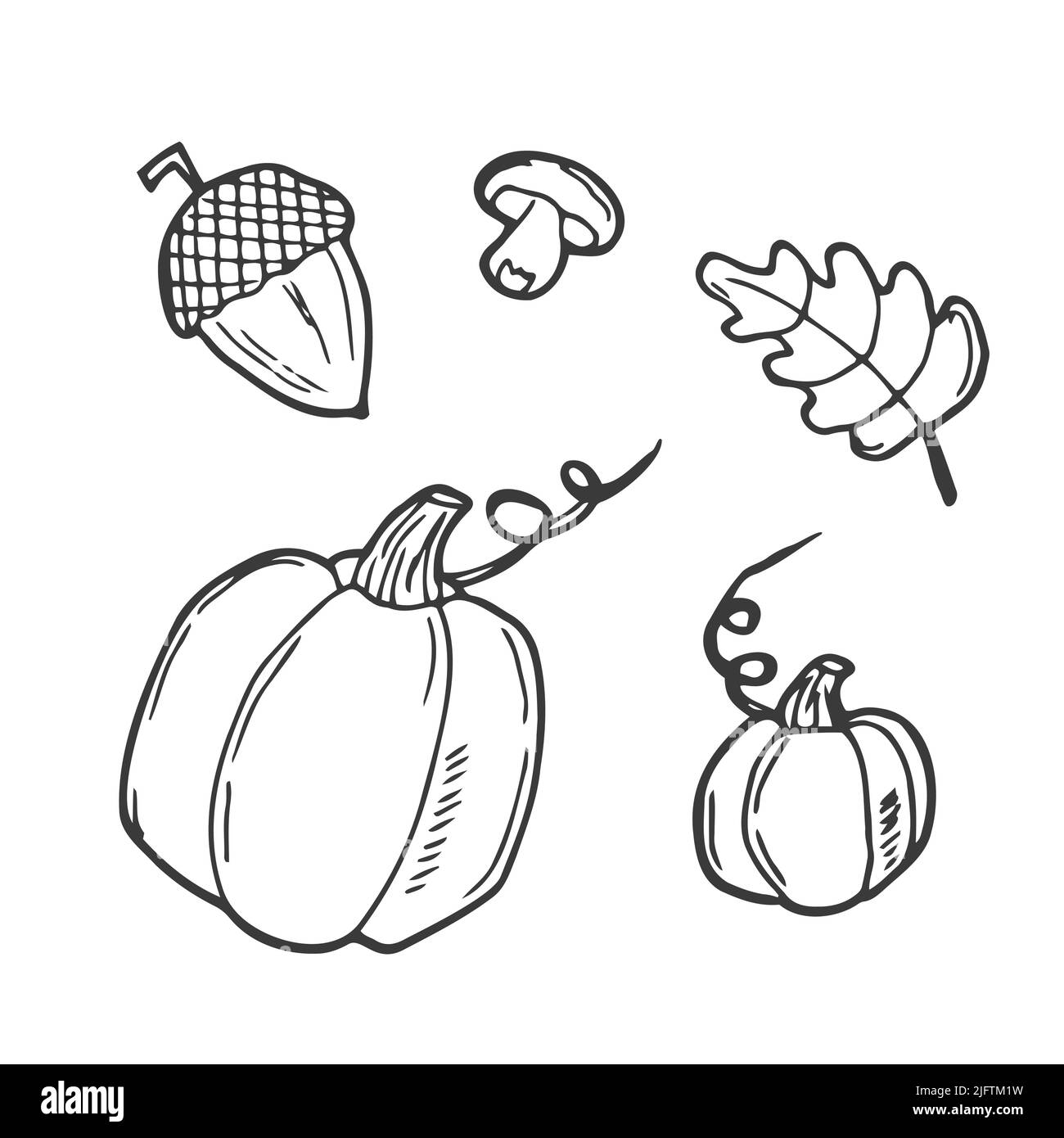 Herbst-Vektorkollektion. Skizzieren Sie Set von Herbst Vektor-Objekte: Kürbis, Blätter, Becher, Zimt, Stück Kuchen, Eicheln, Pilze, Apfel mit Karamell. Gut Stock Vektor