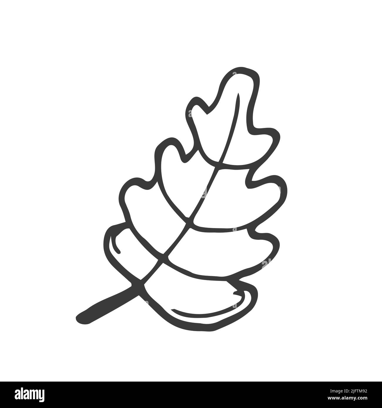 Einzelhand gezeichnetes Eichenblatt . Doodle Vektordarstellung isoliert Stock Vektor