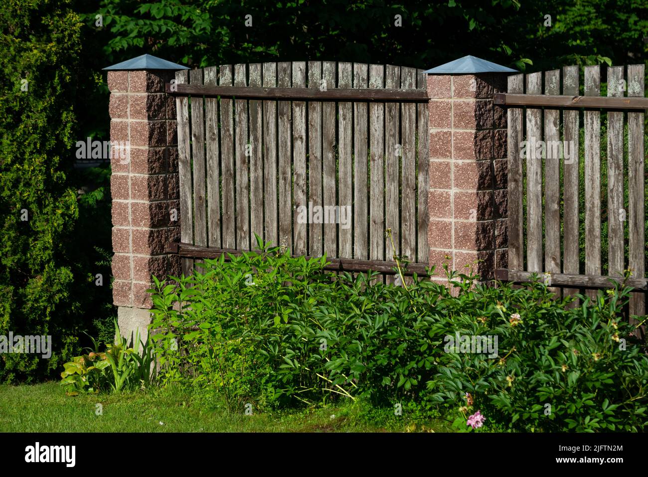 Zwei Paneele eines klassischen Holzgefiederten Gartenzauens mit Betonstützen Stockfoto