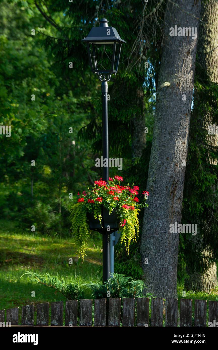 Bunte Blumentöpfe, die an einem Metalllampenpfosten hängen Stockfoto