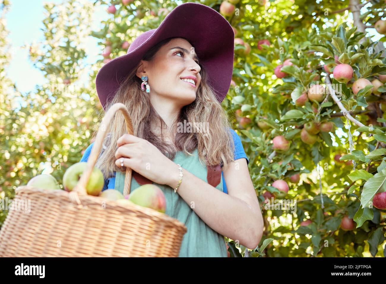 Fröhlicher Bauer erntet saftig nahrhafte Bio-Früchte in der Saison zu essen. Eine glückliche Frau von unten hält einen Korb mit frisch gepflückten Äpfeln vom Baum Stockfoto