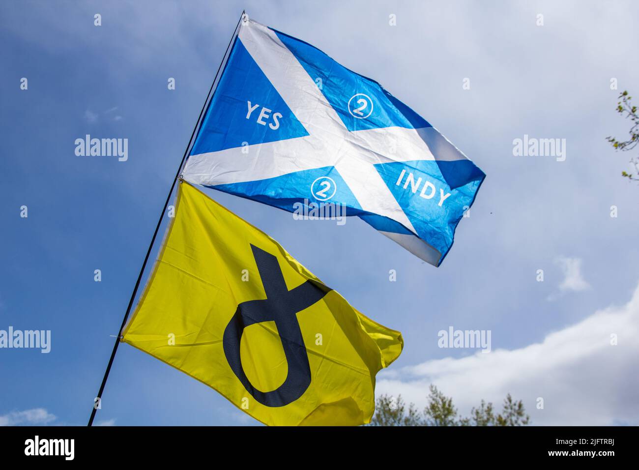 Schottische Flagge 'Yes Indy 2' und Gelbe SNP-Flagge Stockfoto