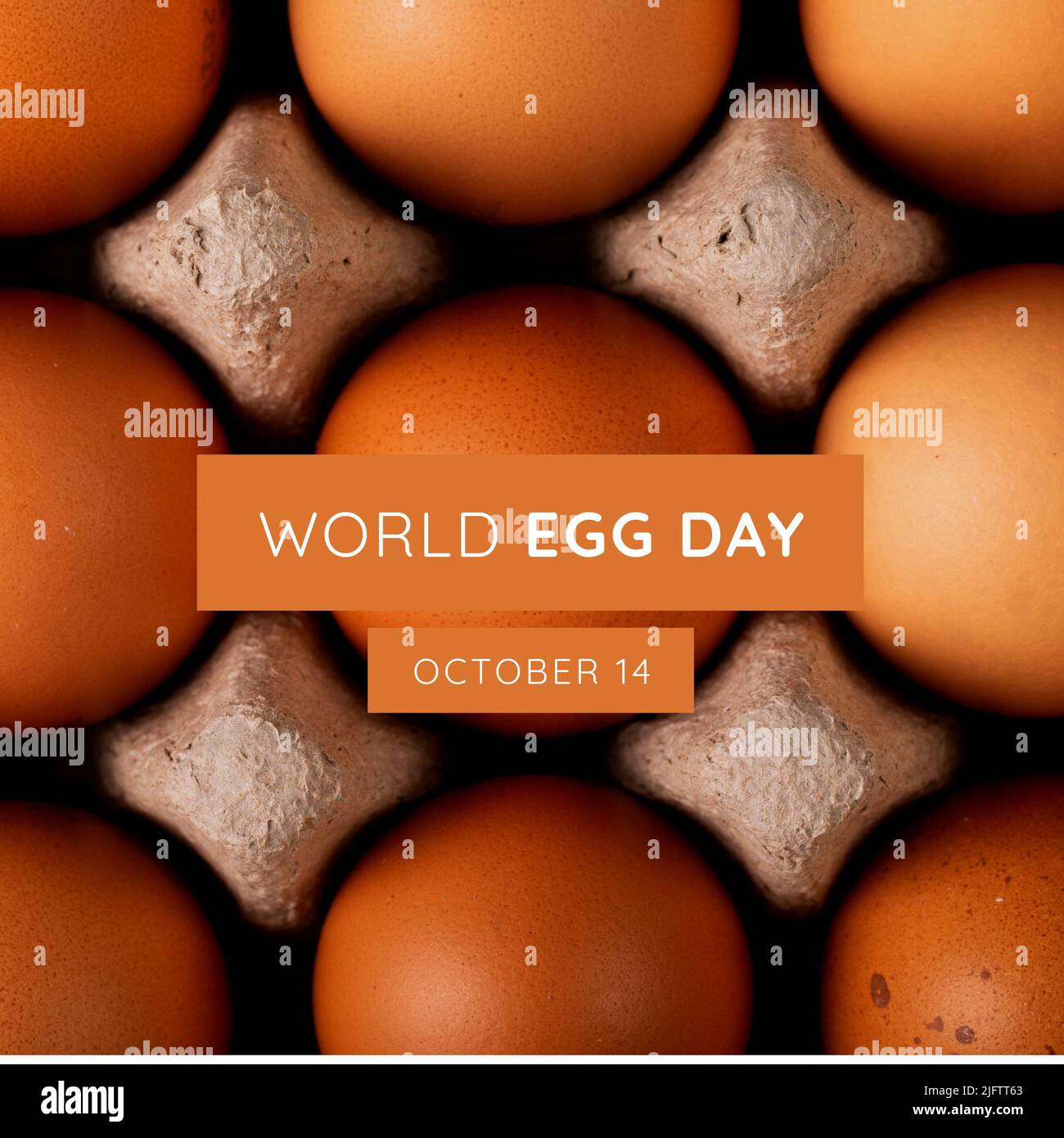 Digitales Composite-Bild von braunen Eiern im Karton und Welt-Eiertag mit text vom 14. oktober Stockfoto