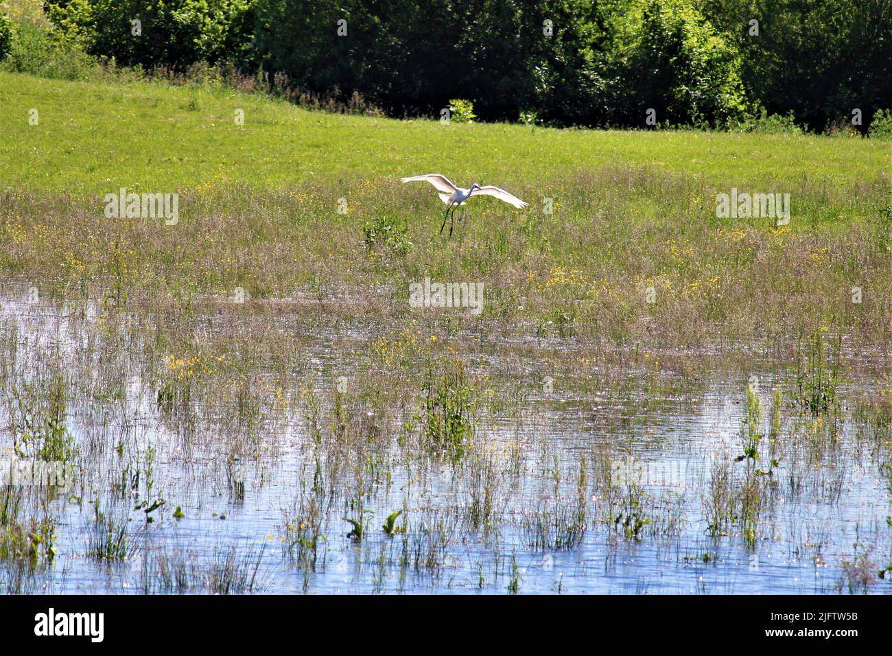 Die schöne Natur Lettlands. Stockfoto