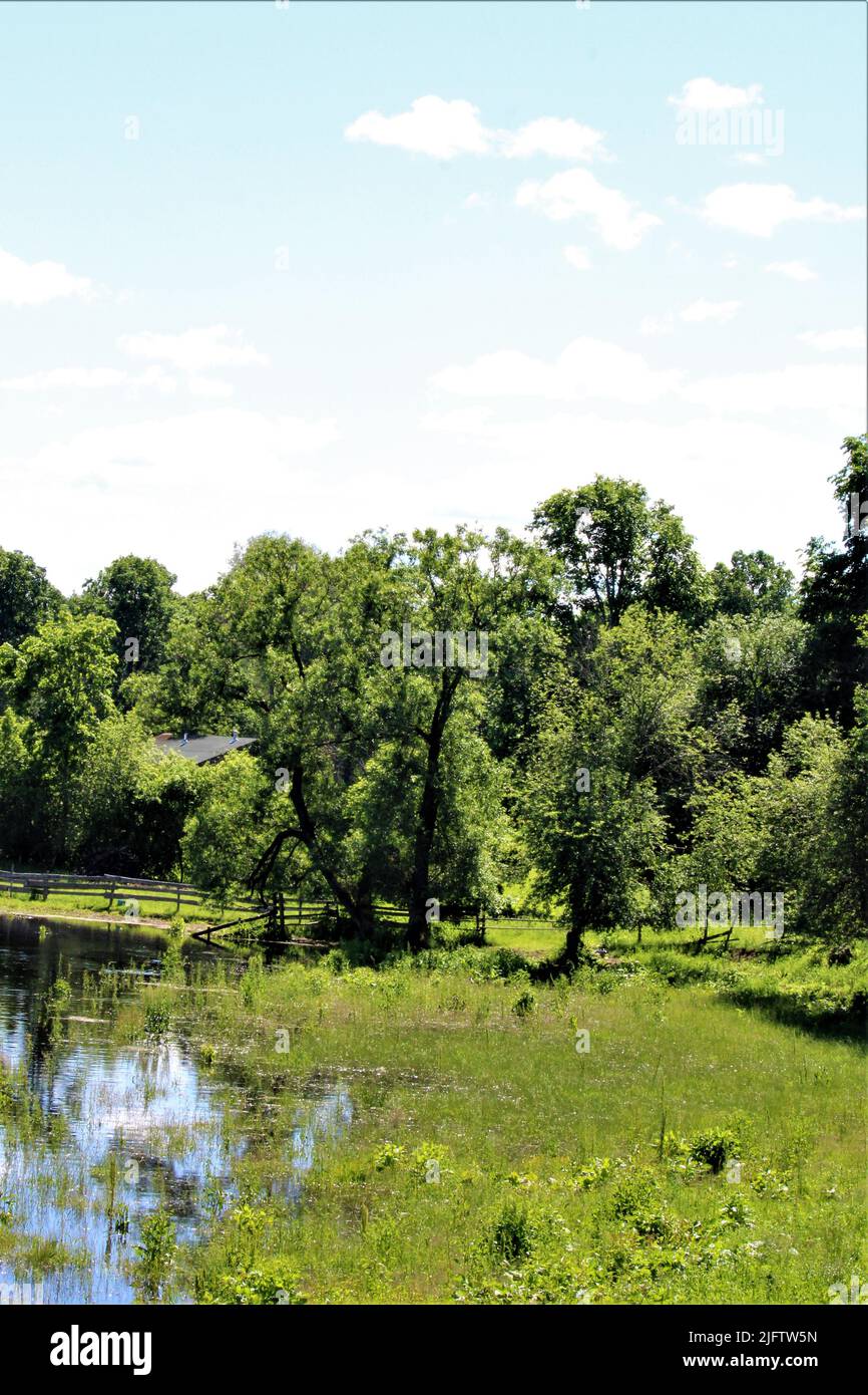 Die schöne Natur Lettlands. Stockfoto