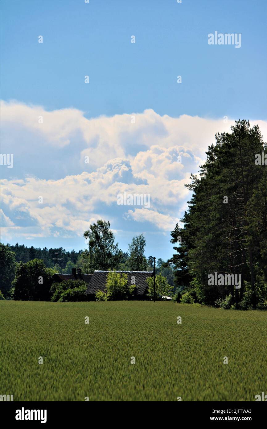 Die schöne Natur Lettlands. Stockfoto