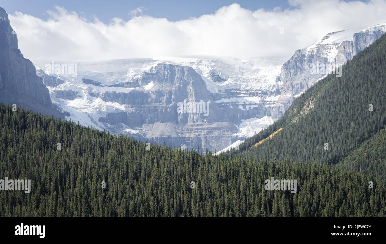 Detail auf massivem Gletscher, der vom Berg mit Wald darunter hängt, Jasper, Kanada Stockfoto