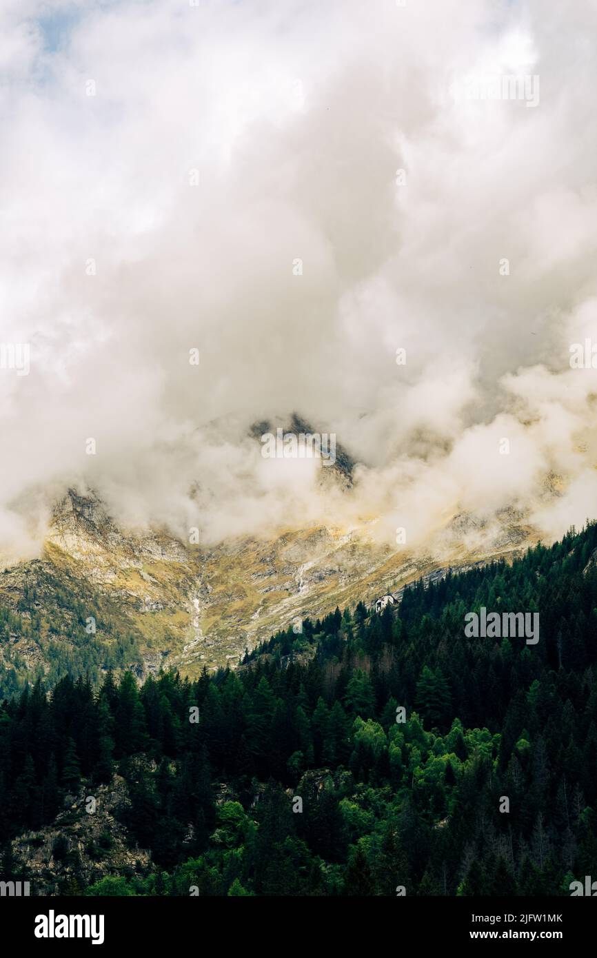 Nebel versperrter Berg mit einsiedlerhütte, launische Landschaftsfotografie mit kräftigen Gelb- und Grüntönen Stockfoto