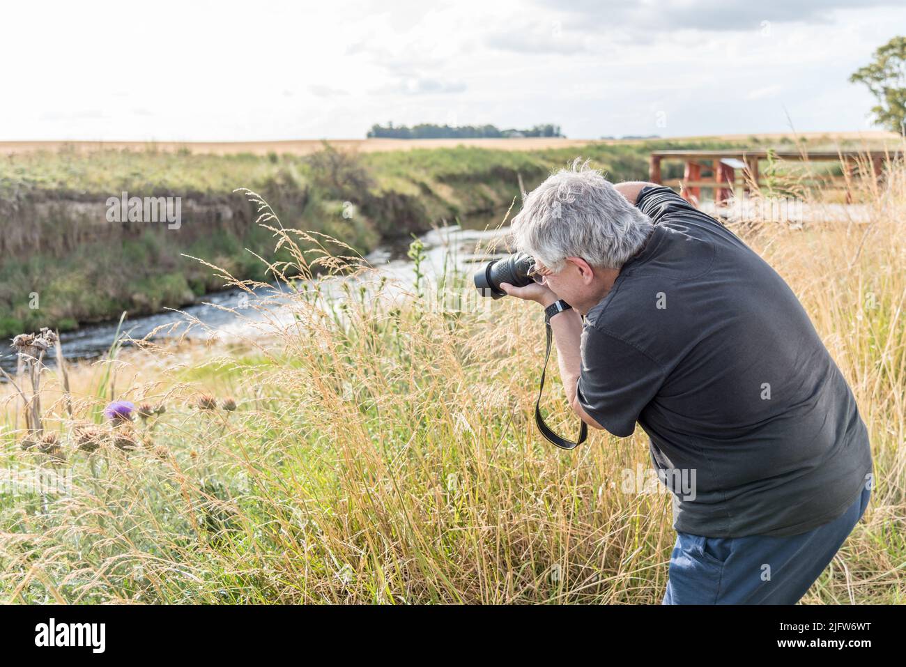 Fotograf mit grauem Haar, der mit einer Kamera von Disteln auf dem Feld in der Nähe des Flusses fotografiert. Stockfoto