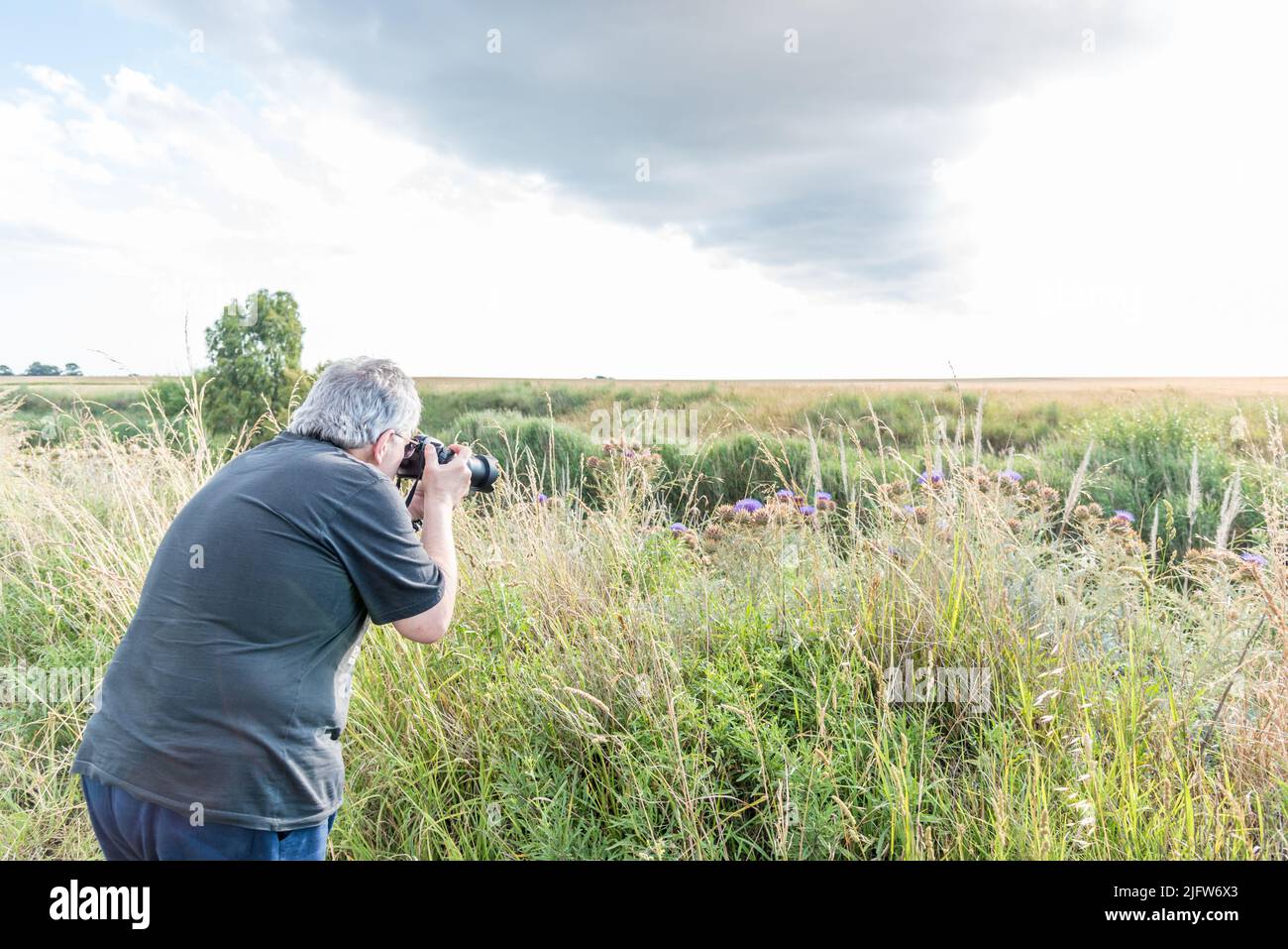 Rückansicht eines grauen, reifen Mannes, der Disteln auf einem Feld mit bewölktem Himmel mit der Kamera fotografieren kann. Stockfoto