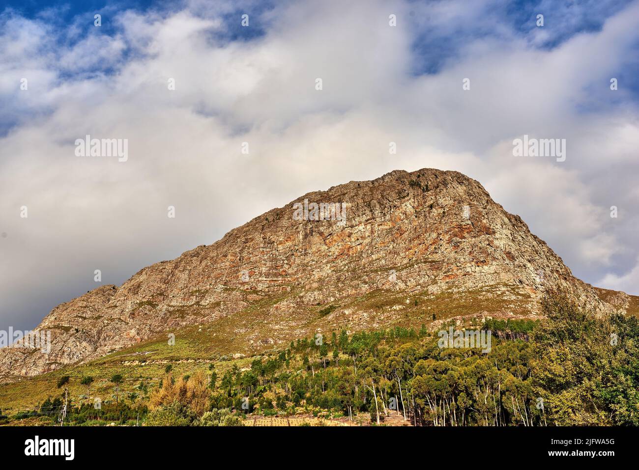 Ein Bild von unten vom Tafelberg. Eine schöne Aussicht auf die Natur eines hohen Berges in Form eines Löwen Kopf mit Wald, und ein wolkigen Himmel in der Stockfoto