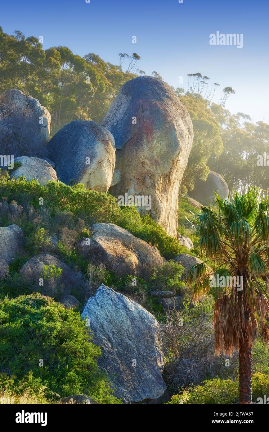 Üppiger felsiger Hang mit riesigen Felsbrocken in der Nähe eines tropischen Waldes in Südafrika. Atemberaubende Naturlandschaft mit viel Grün und bergigen Wanderwegen Stockfoto