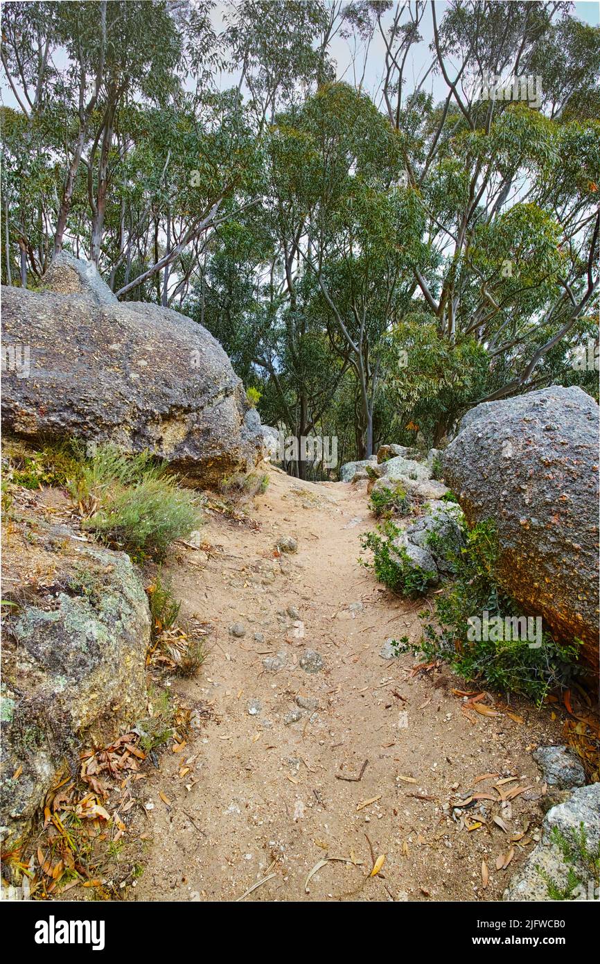 Abgelegener Bergwanderweg am Tafelberg. Abgeschiedener bergiger Wanderweg, umgeben von Felsbrocken und Bäumen. Fußweg auf dem Berggipfel. Touristen Stockfoto