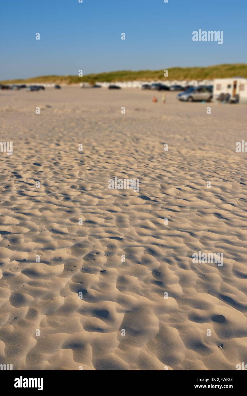 Landschaftsansicht auf Strandsand mit windiger Wetterstruktur, Copyspace am Sommertag. Landschaftlich reizvolle Dünen, die von Küsten- oder Gezeitenwinden gebildet werden. Menschen genießen Stockfoto