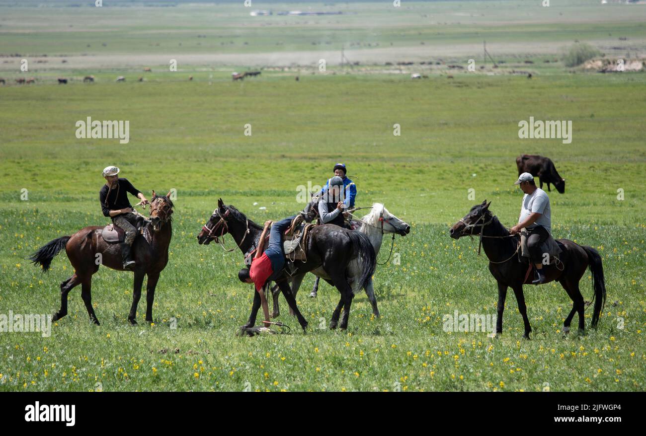 Männer spielen auf einem Feld in Kirgisistan eine Partie Kok Boru oder totes Ziegenpolo. Stockfoto