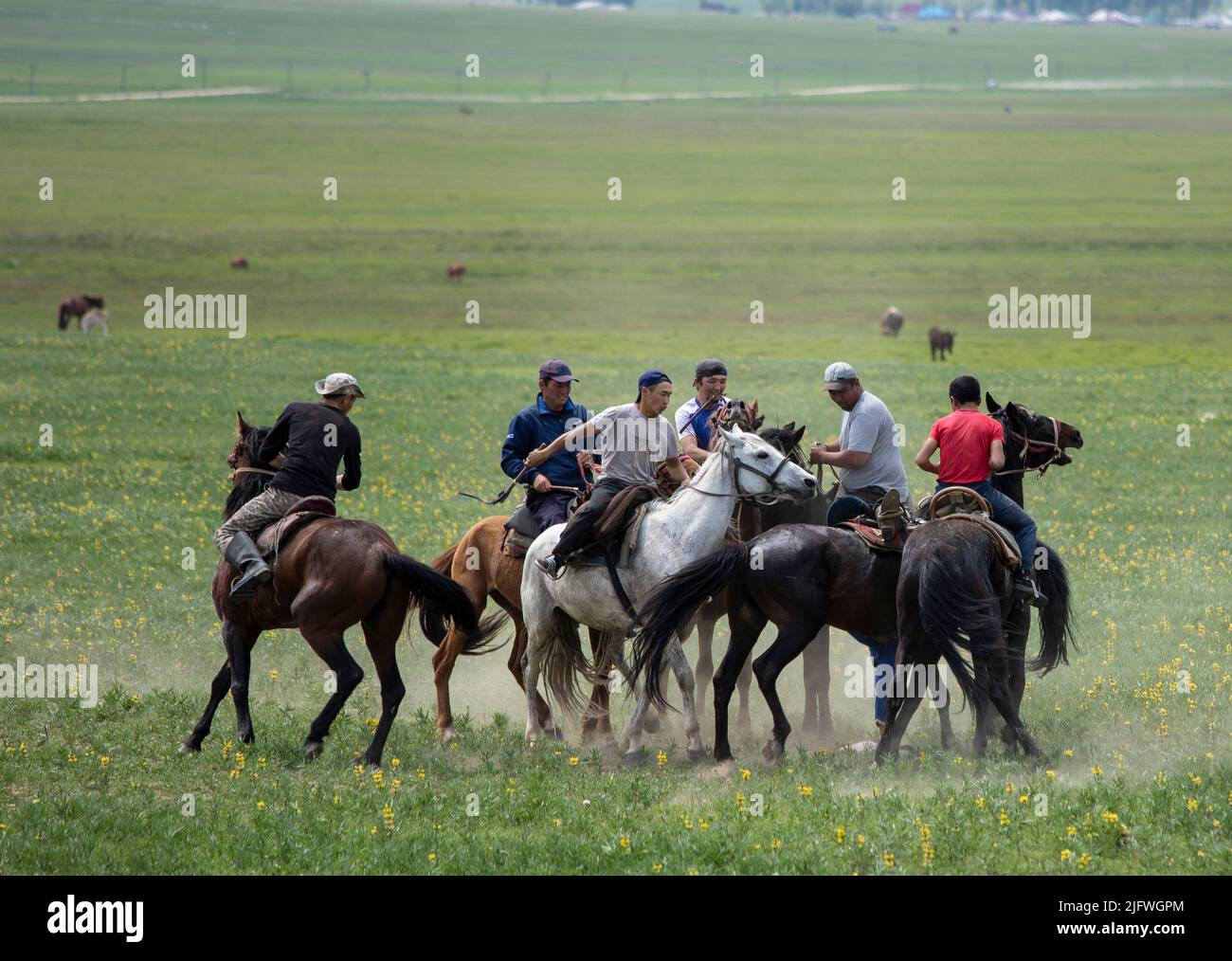 Männer spielen auf einem Feld in Kirgisistan eine Partie Kok Boru oder totes Ziegenpolo. Stockfoto