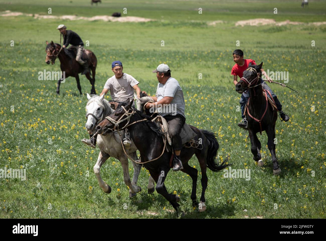 Männer spielen auf einem Feld in Kirgisistan eine Partie Kok Boru oder totes Ziegenpolo. Stockfoto