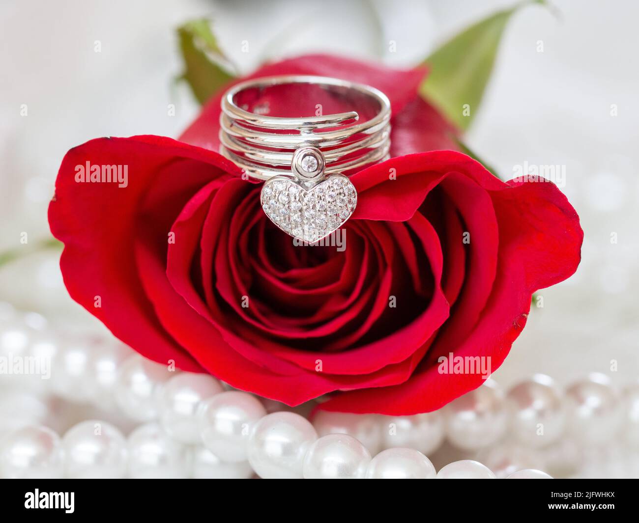 Nahaufnahme der Herzform des Dimond-Ringes auf der roten Rose und mit Perlen verziert. Stockfoto