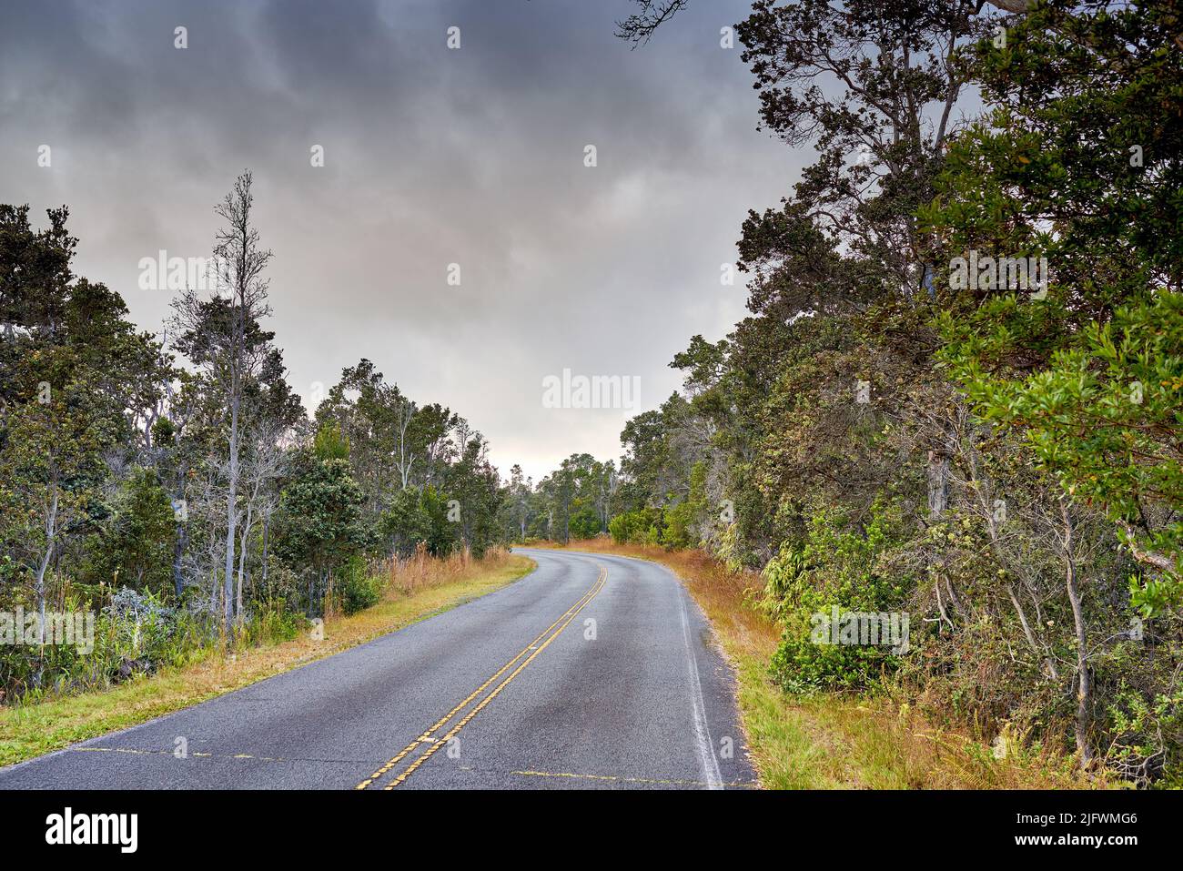 Eine Straße durch einen Wald in Hawaii, USA mit einem bewölkten Himmel Hintergrund und Copyspace. An einem kalten Wintertag bietet sich ein schöner Blick auf die Waldlandschaft. Hoch Stockfoto